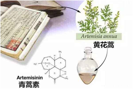 乐鱼在线,乐鱼在线（中国）：向中医药看齐，与世界共享中医药文化(图1)